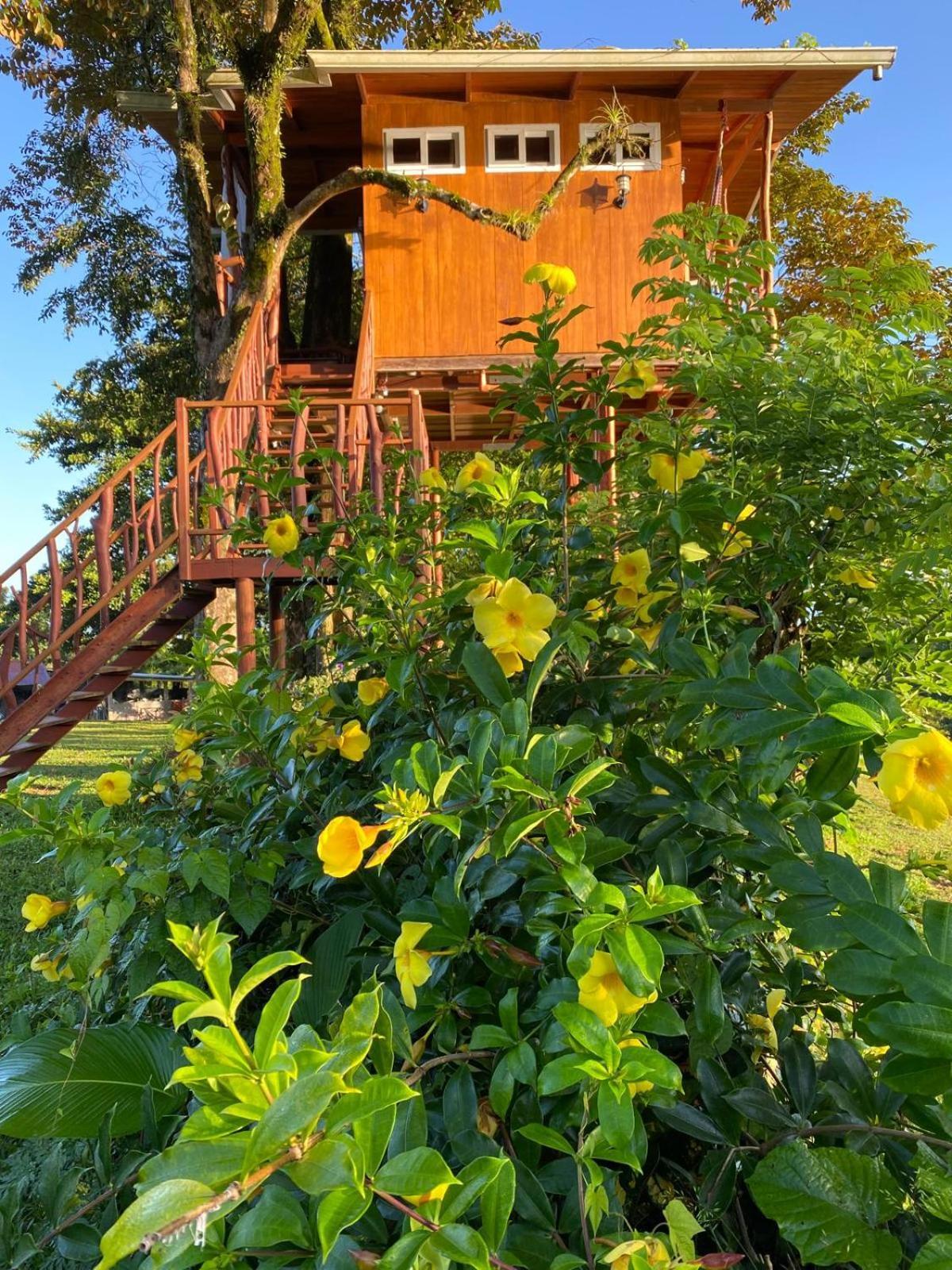 Hilamito Lodge Tela Bagian luar foto